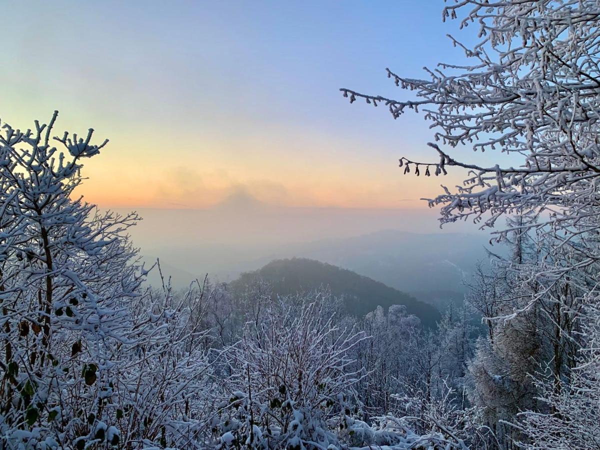 Harz Hotel Und Gaestehaus Am Bornweg Bad Sachsa Εξωτερικό φωτογραφία