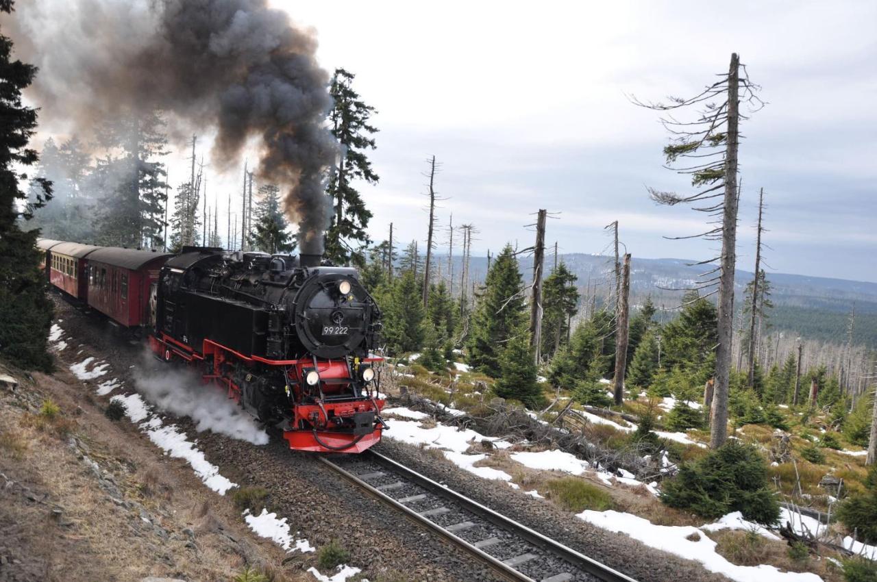 Harz Hotel Und Gaestehaus Am Bornweg Bad Sachsa Εξωτερικό φωτογραφία